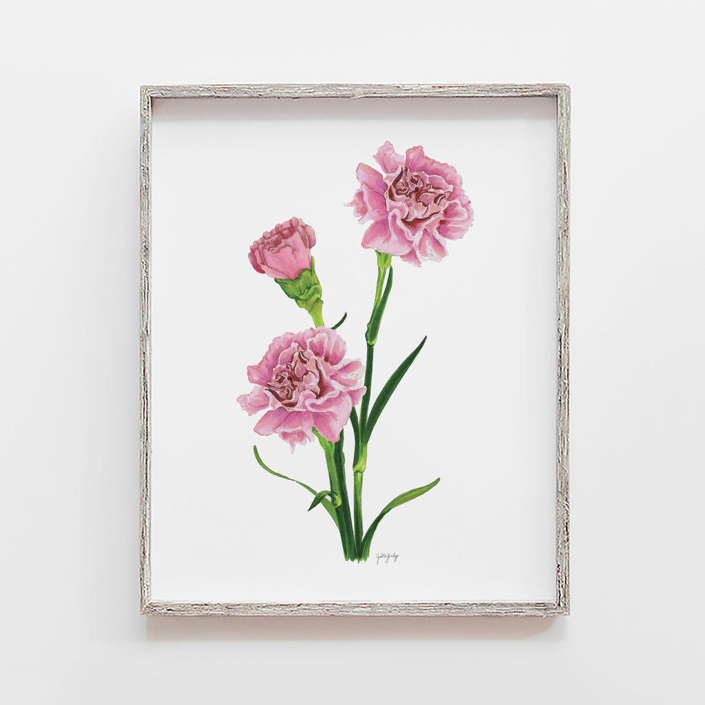 January Birth Flower Carnation