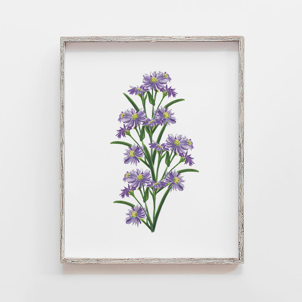 Aster Flower Art Print