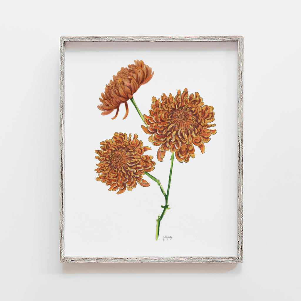 This mum or chrysanthemum flower marker drawing art print is printed on 100 lb smooth paper and is perfect for any room in your home. This flower also represents the birth flower for November.