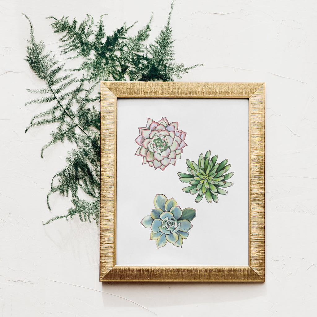 succulent wall art print Three Succulent Art Print