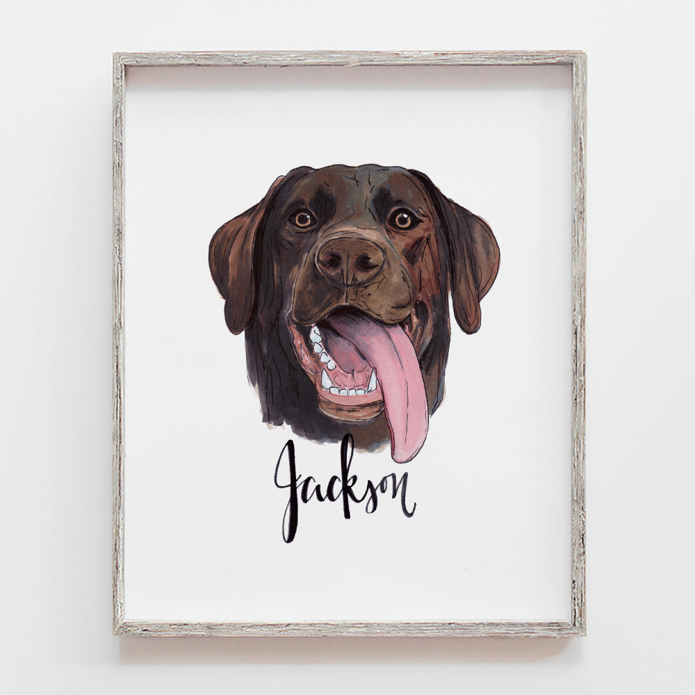 Custom pet portrait drawing of dog. This is a chocolate lab by JesMarried.