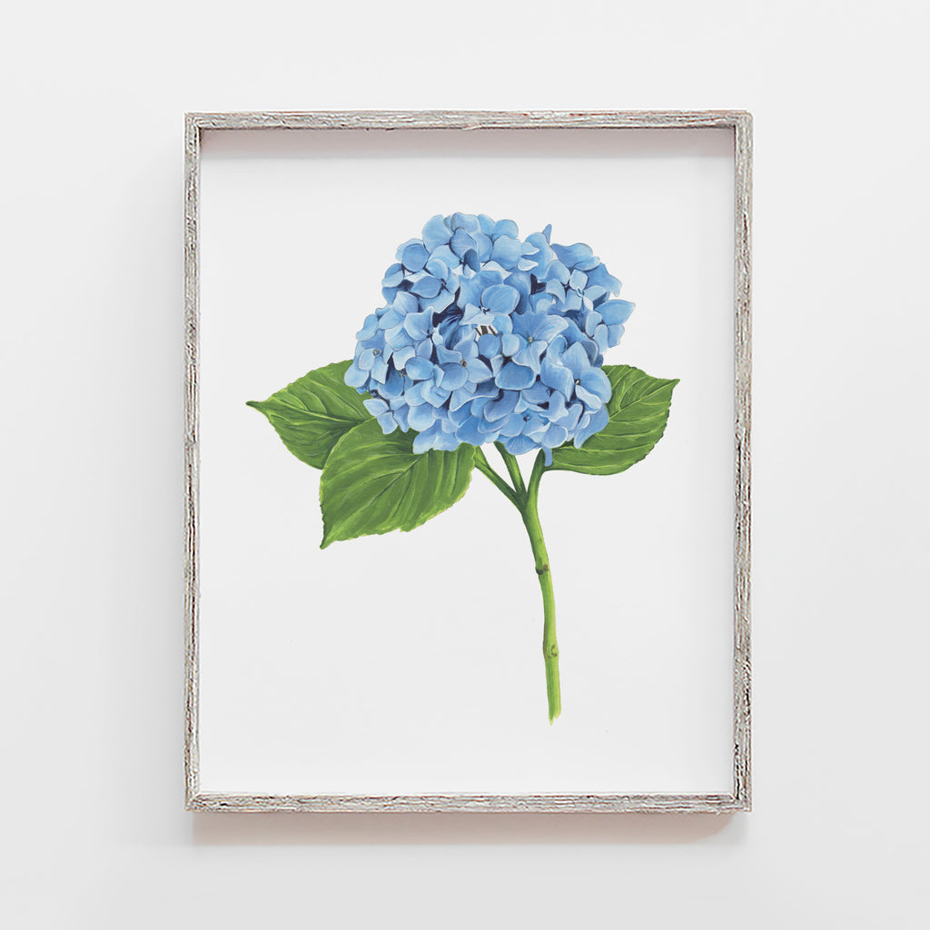 Blue Hydrangea flower art print marker drawing by JesMarried