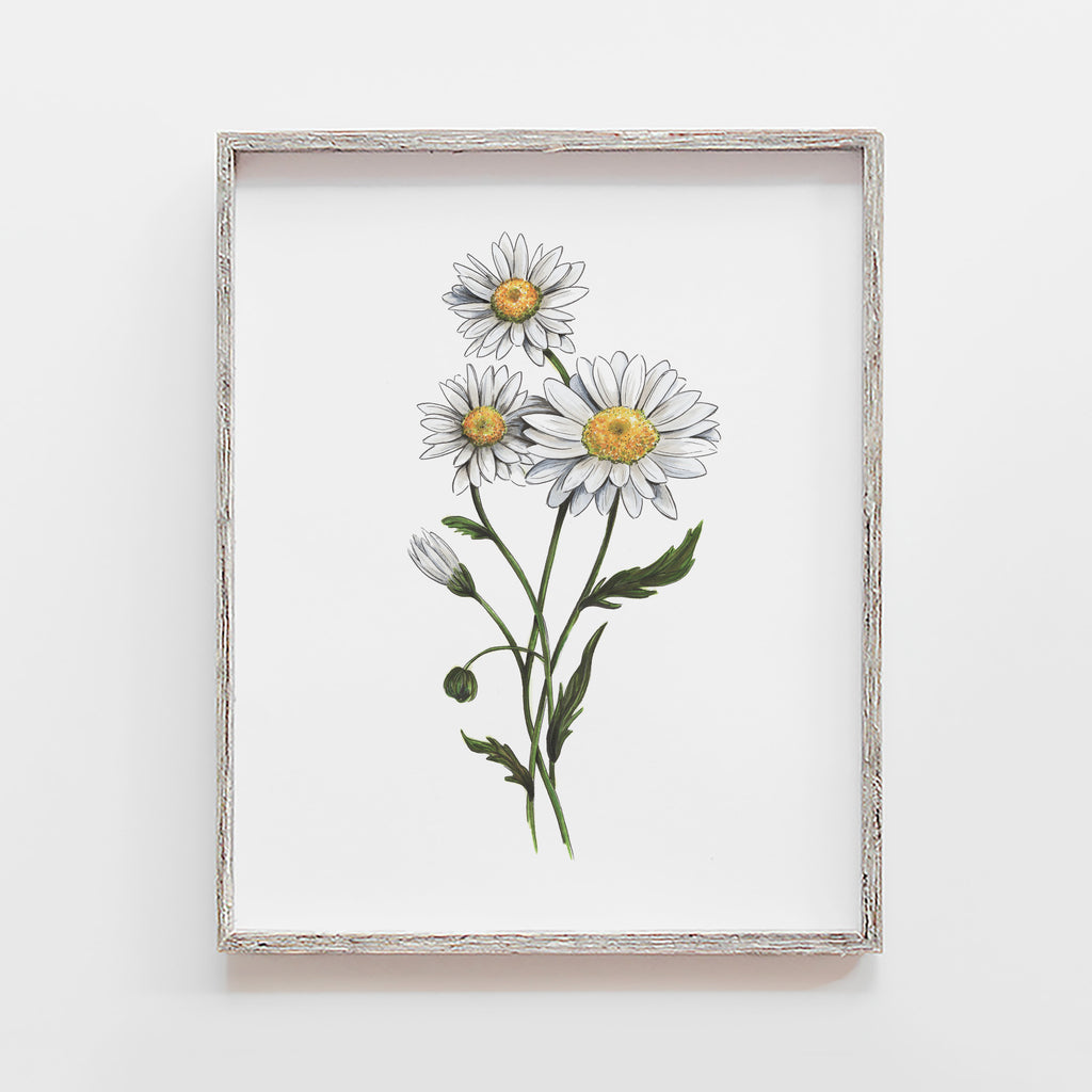 white daisy art print by JesMarried