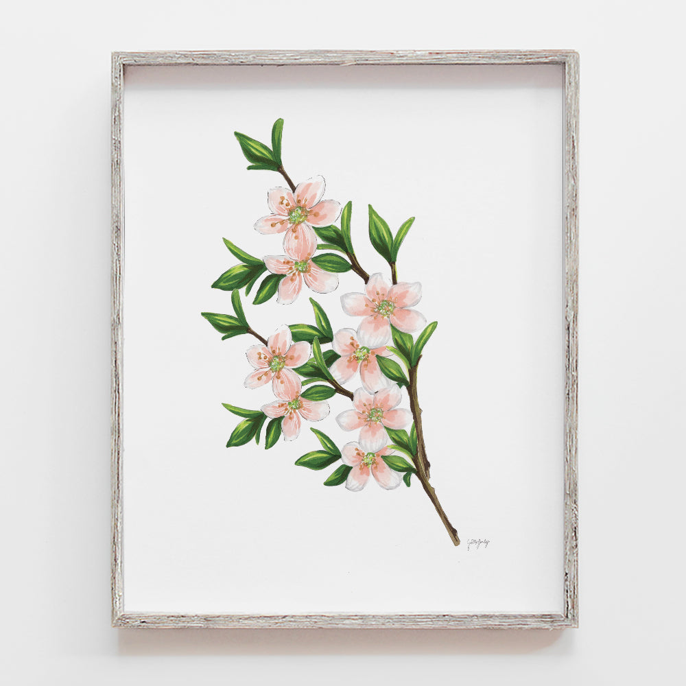 Cherry Blossom Flower Art Print