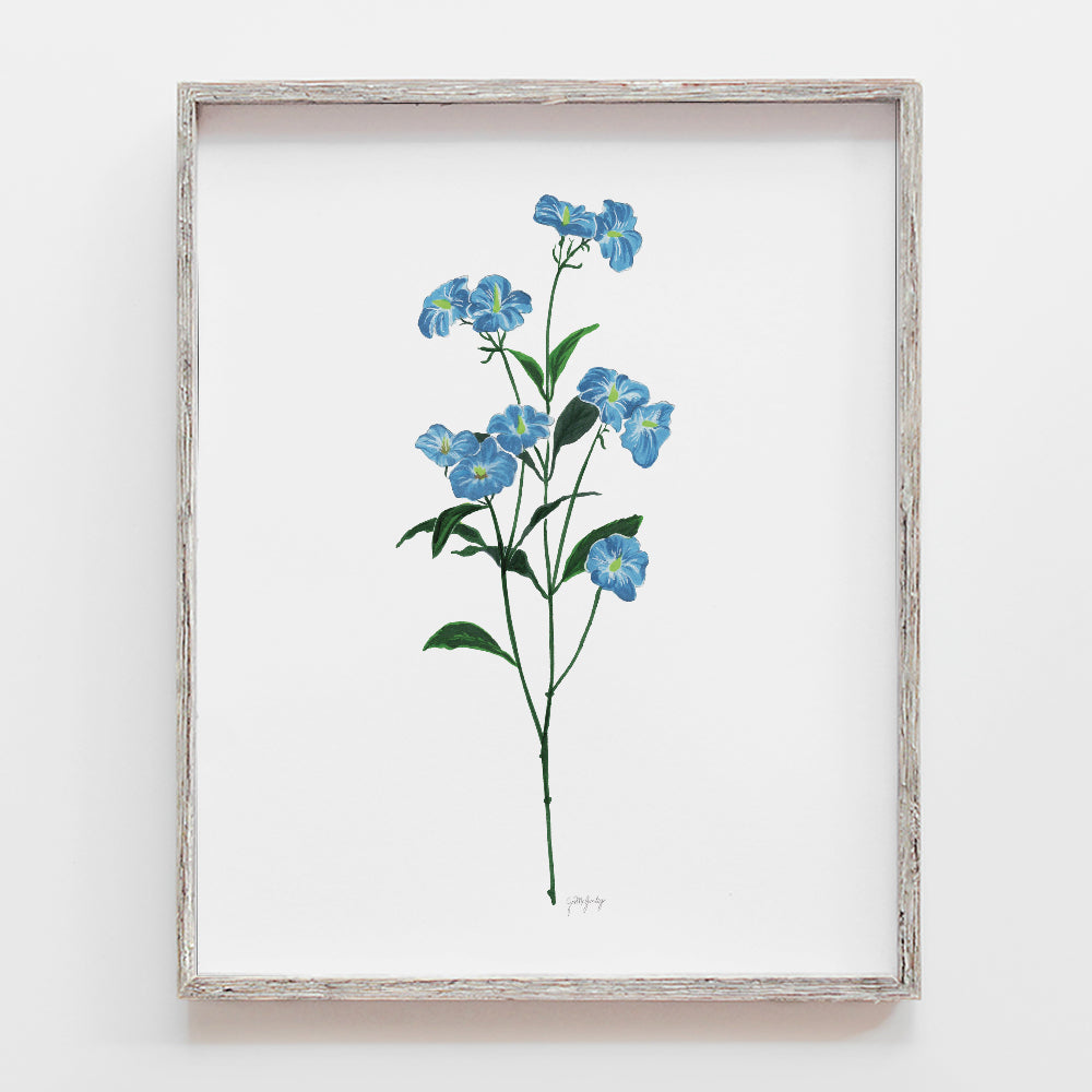 Morning Glory Flower Art Print