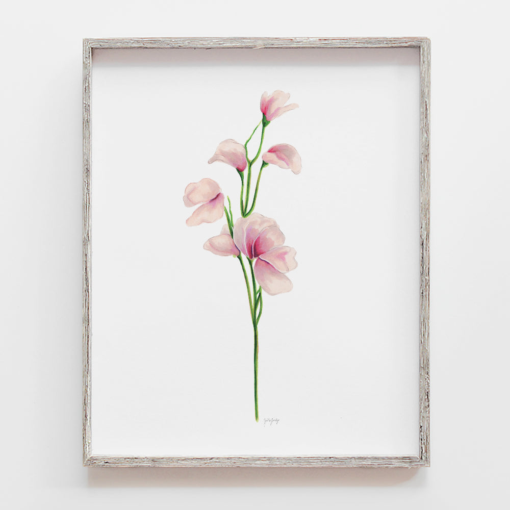 Sweet Pea Flower Art Print