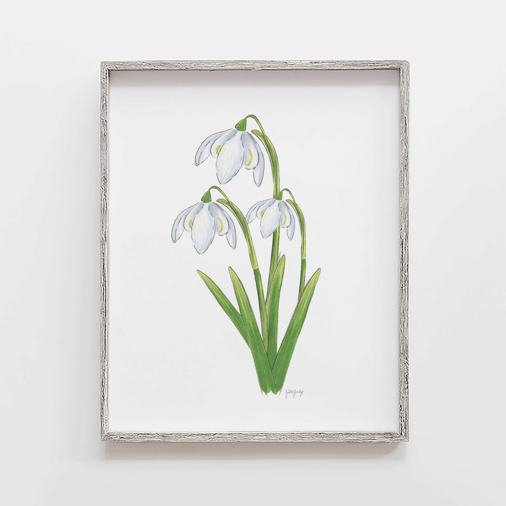 Snowdrop Flower Art Print