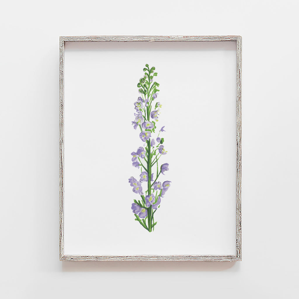 Delphinium Flower Art Print