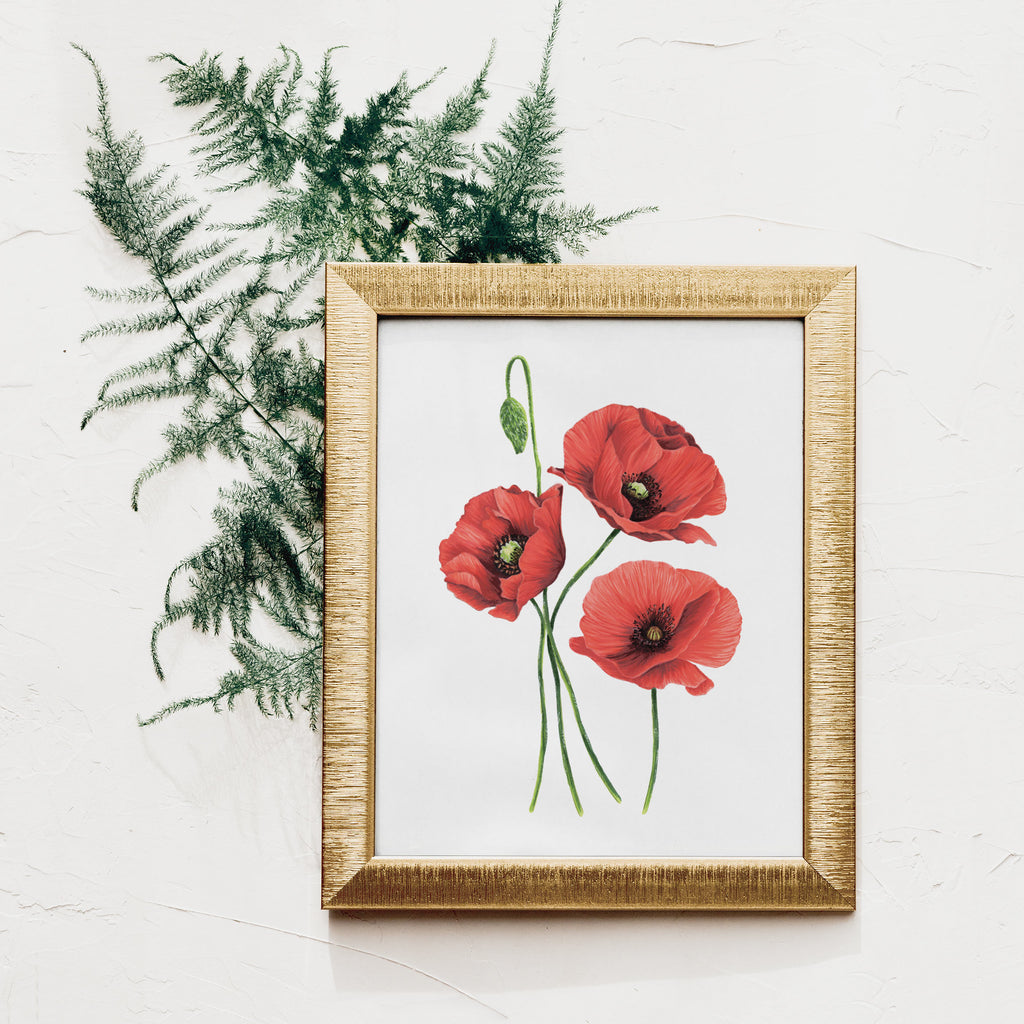 Red Poppies art print wall decor by JesMarried. This flower is for sympathy!