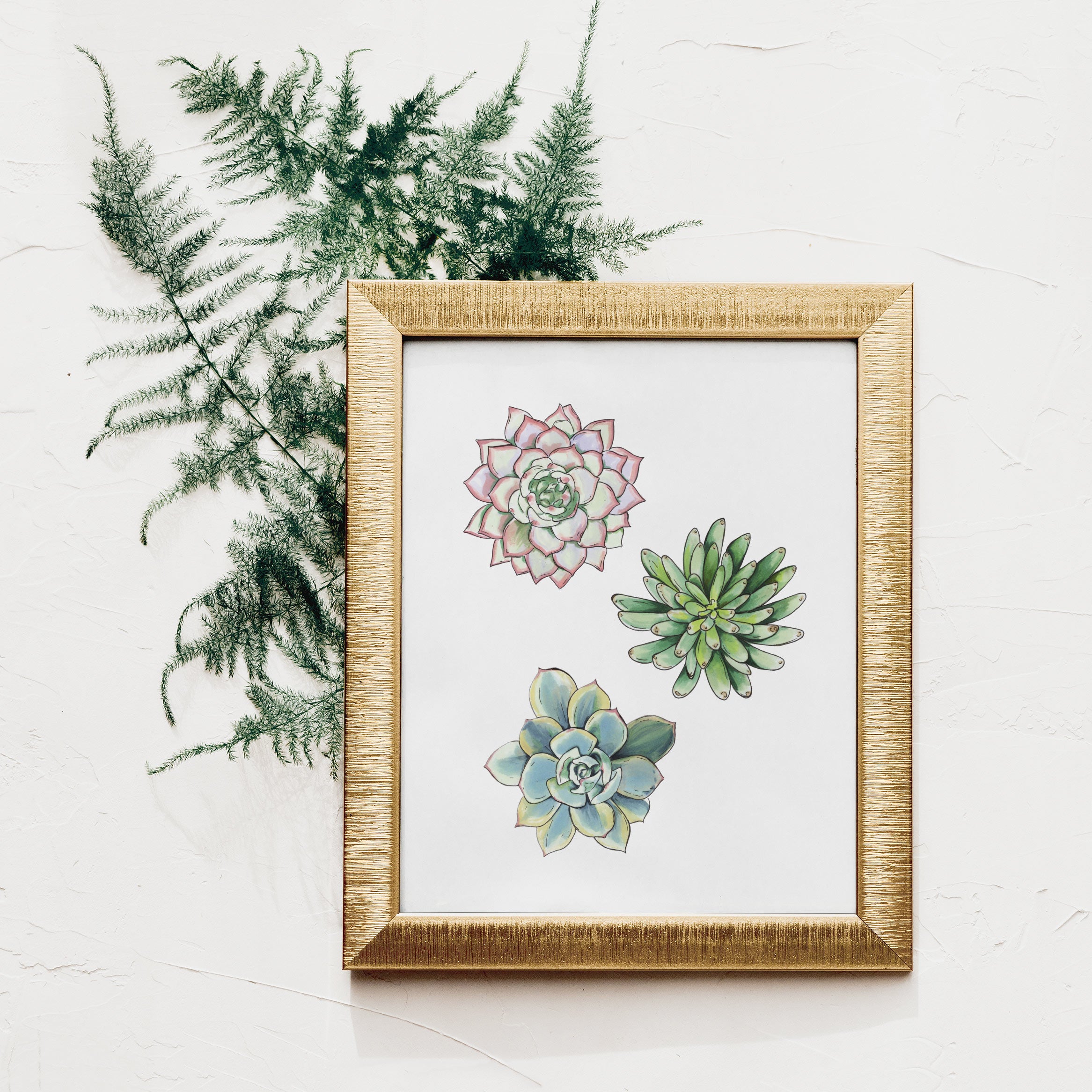 printable succulent art Three Succulent Art Print