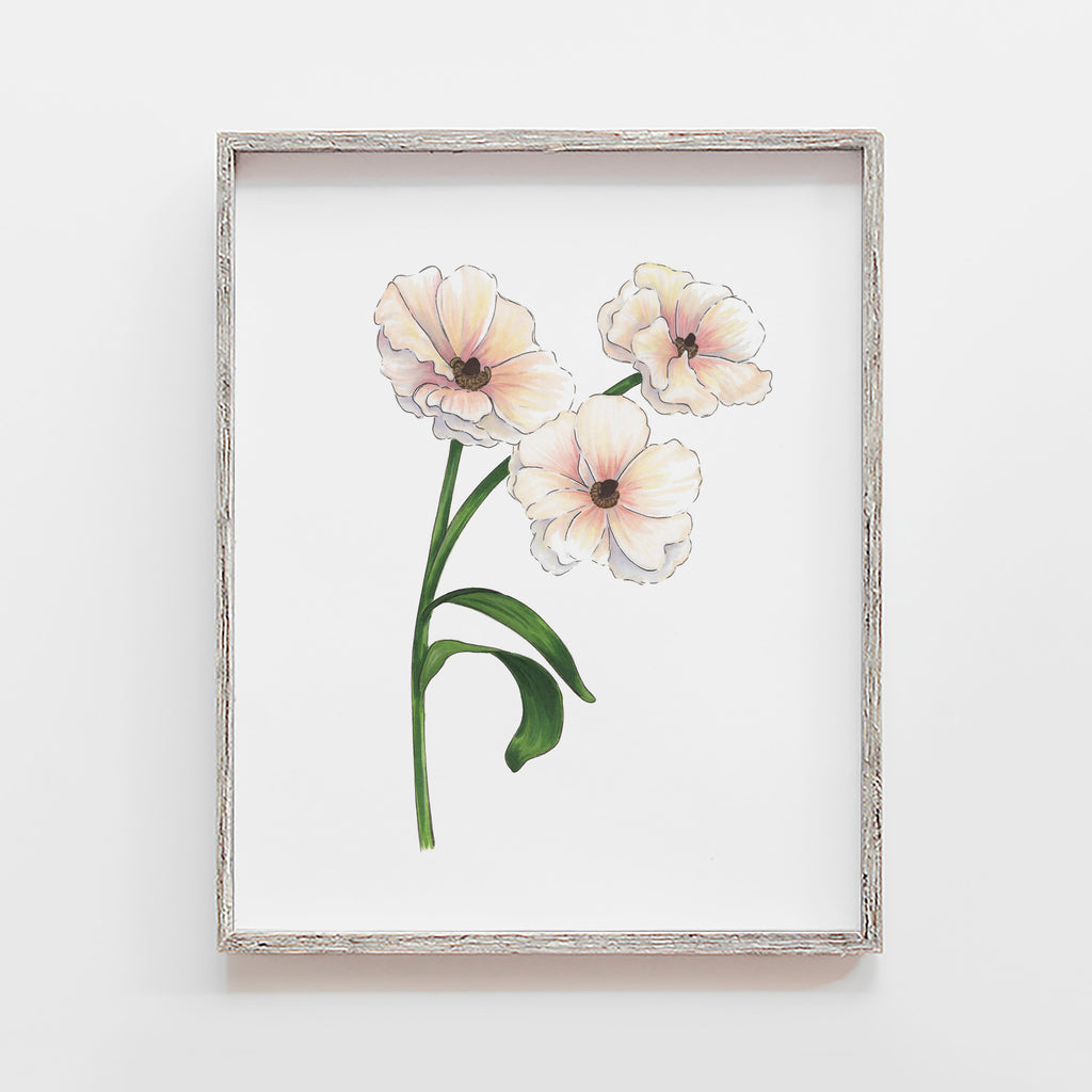 Ranunculus Butterfly art print