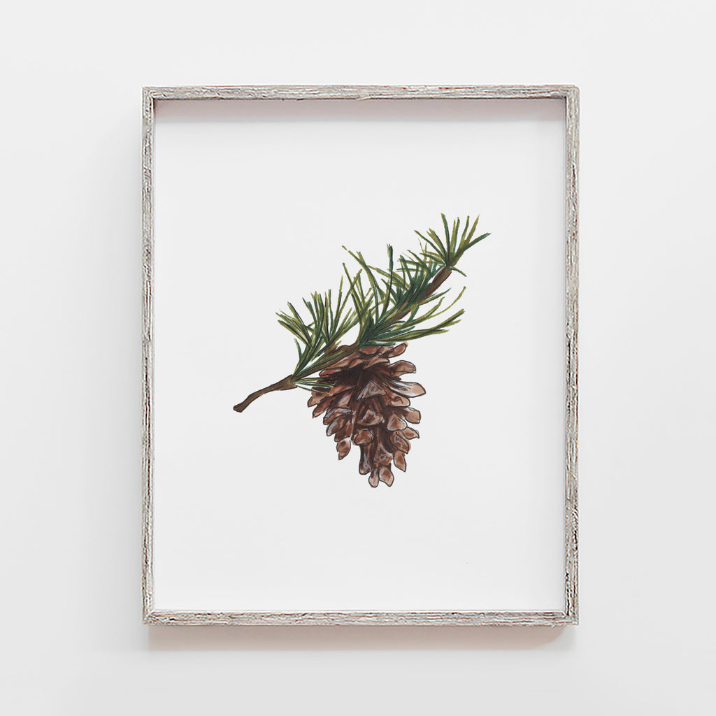 pine cone marker drawing art print 