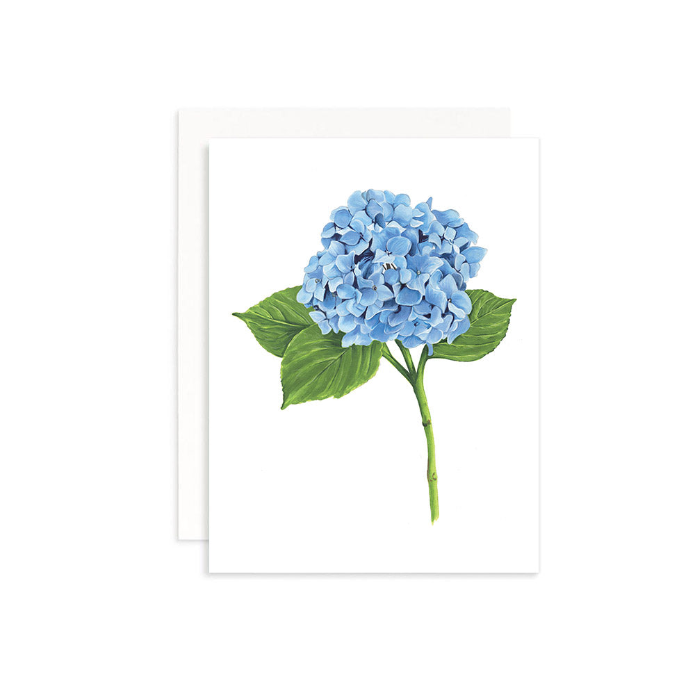 Bouquet of Flowers Greeting Card Box Set of 6 - blue hydrangea