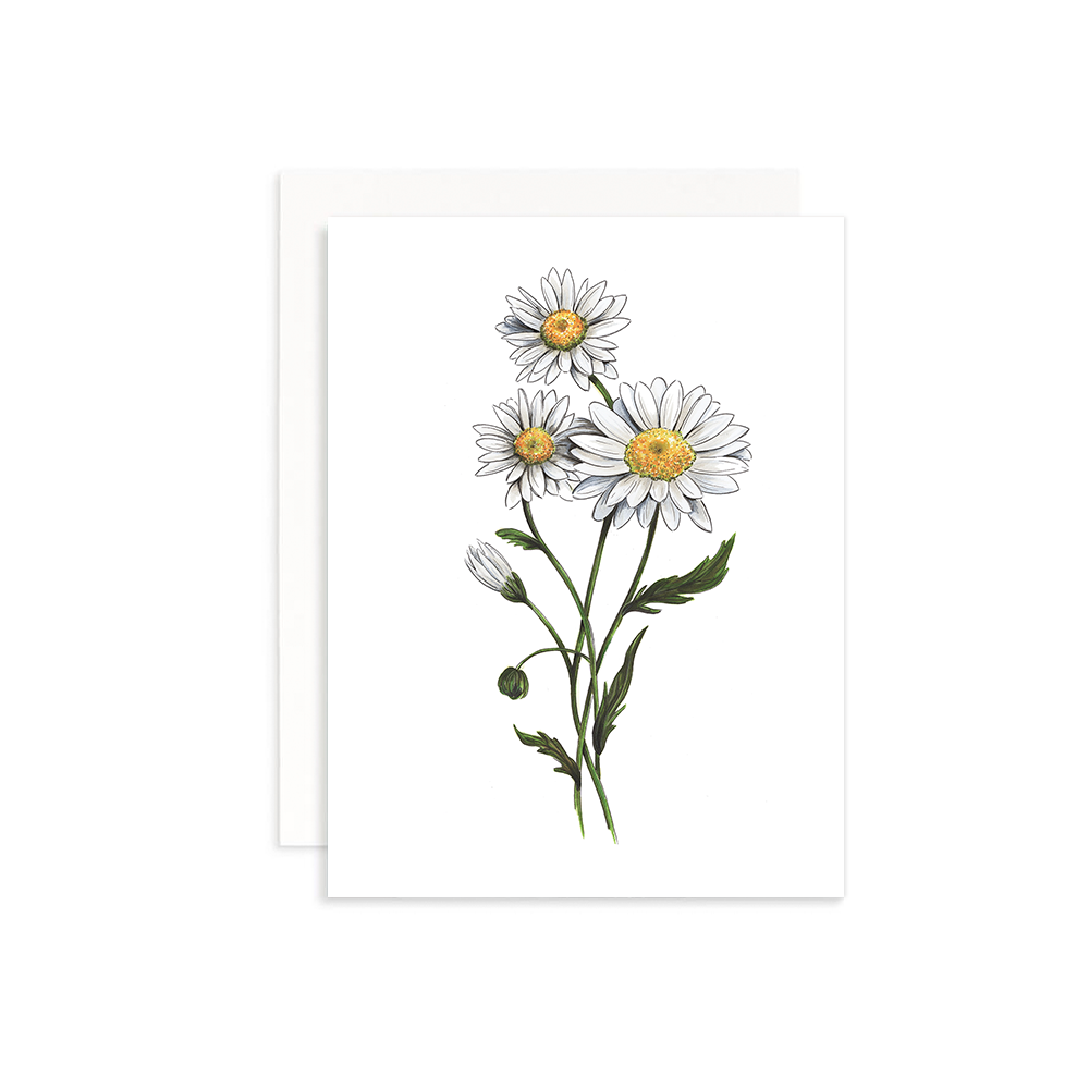 Bouquet of Flowers Greeting Card Box Set of 6 - daisies
