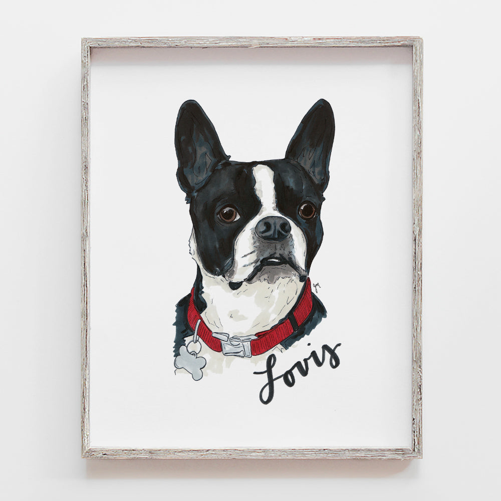Custom pet portrait drawing of dog. This is a french bull dog illustration by JesMarried.