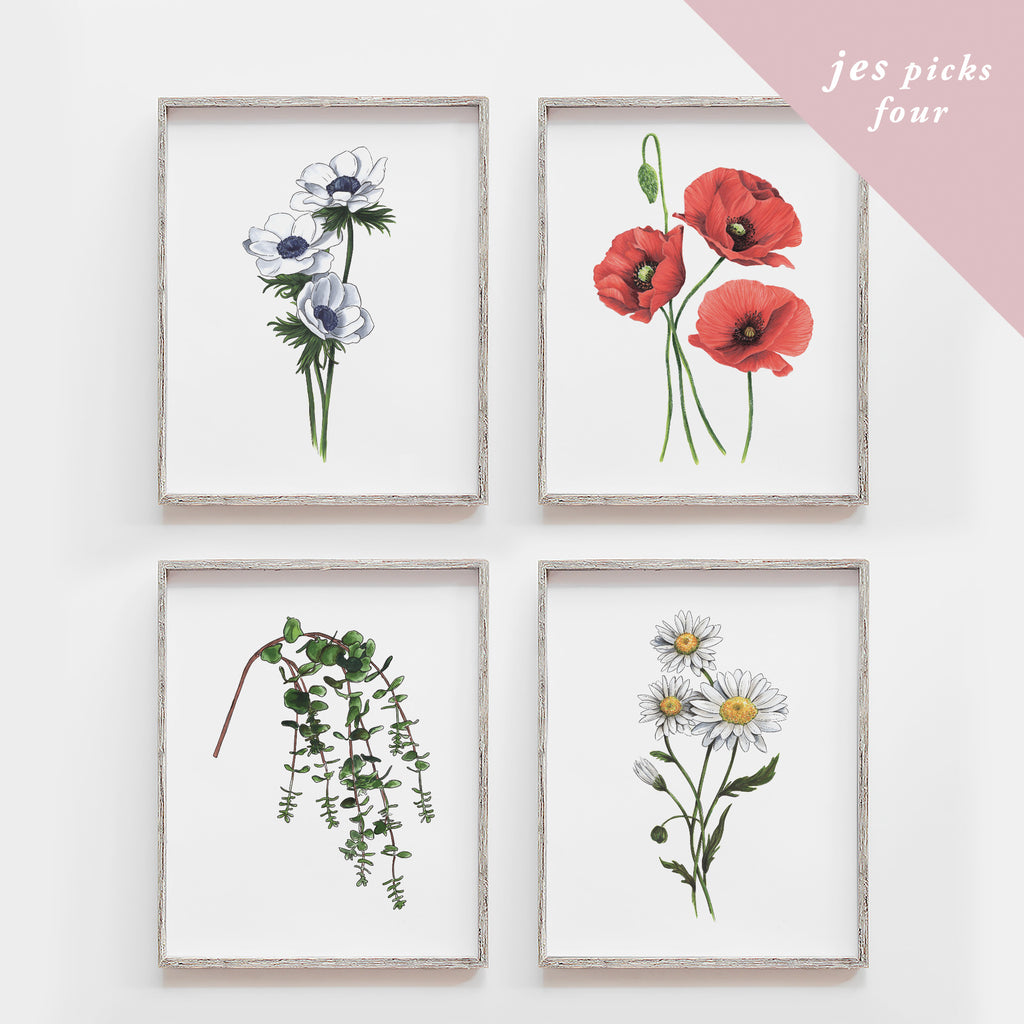 Hand-picked by Jes - Set of Four Art Prints (Mystery)