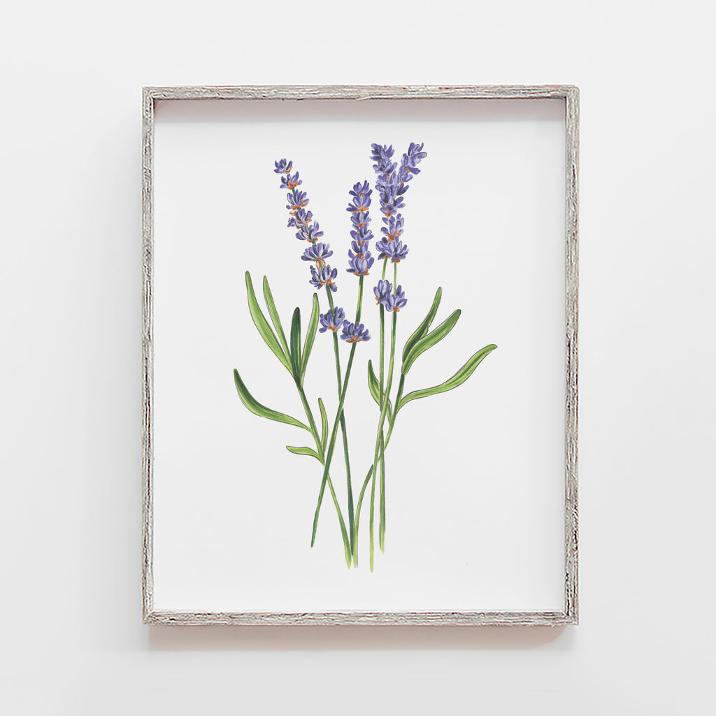 lavender calming and relaxing art print by JesMarried