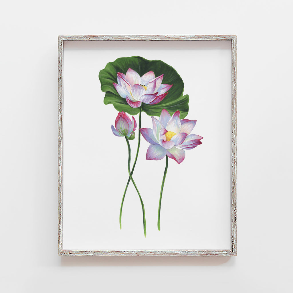 lotus and lily pad art print wall decor by JesMarried