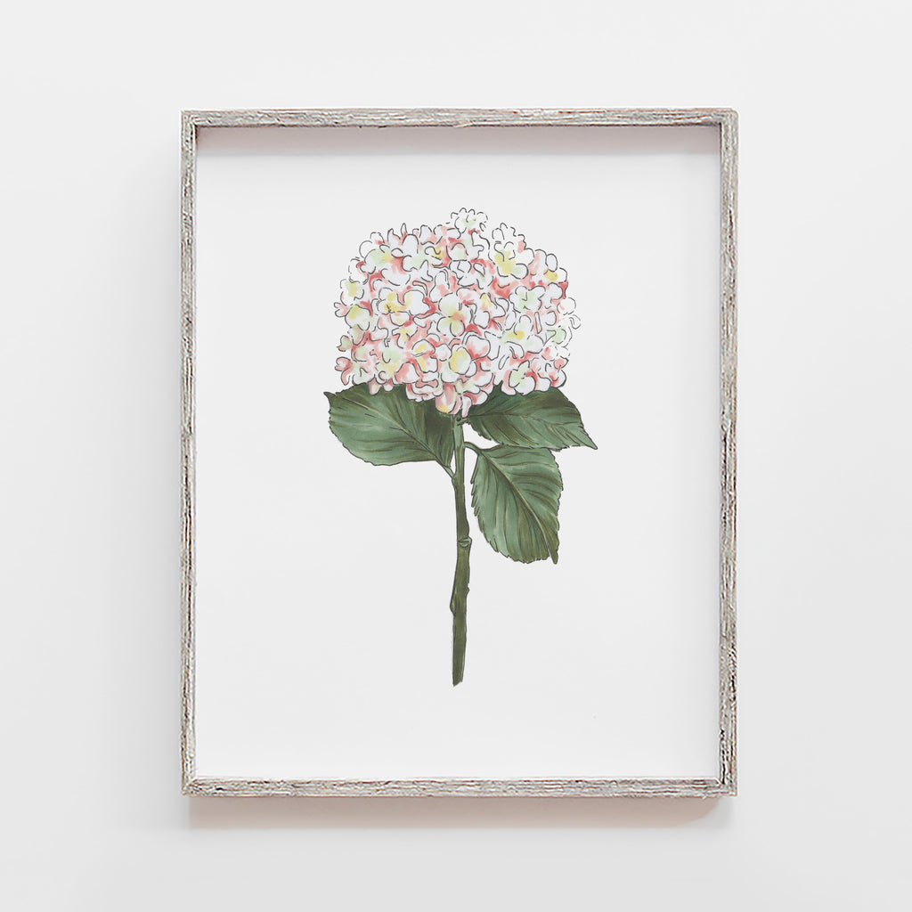 white hydrangea art print