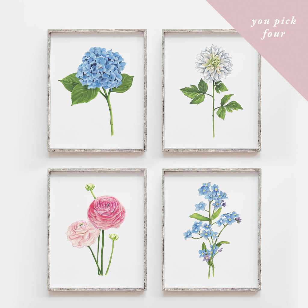 You Pick Four Flowers Art Print Set